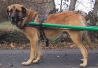   (  ,  )